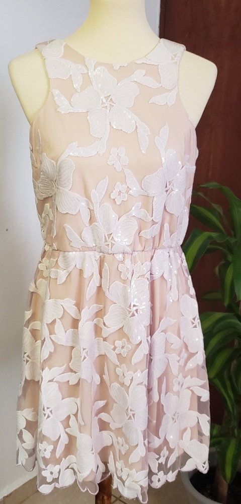 Blush Baby Cocktail Dress